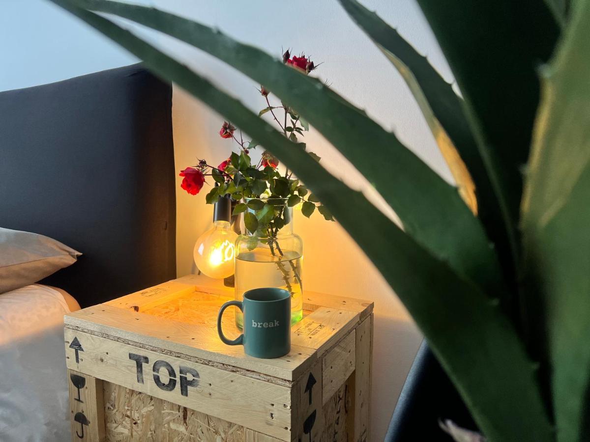 Appartamento Nuovissimo: La Casa Bolognese Buitenkant foto